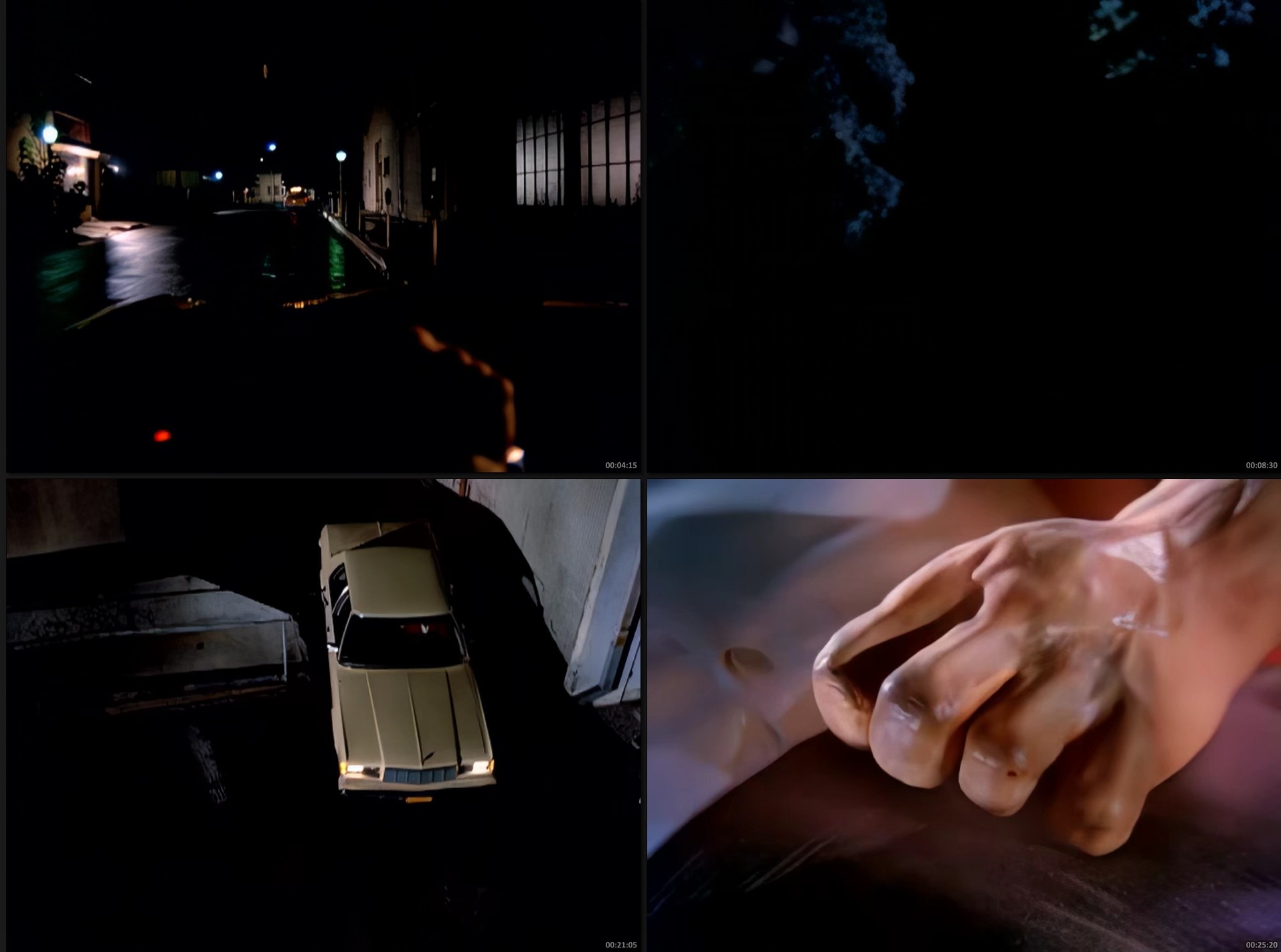 Manimal (1983) – Serie Completa Full HD 1080p Latino | 8 Episodios Inolvidable - Imagen 2