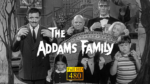 ✅ Serie completa The family addams (Español latino-480p) [Audio: Español latino]-Temporada completas