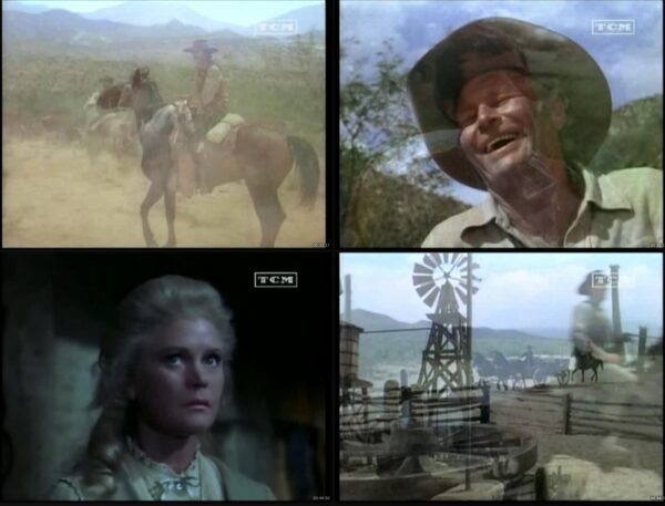 📺 Serie completa El Gran Chaparral [Latino] - [480p] - Imagen 5