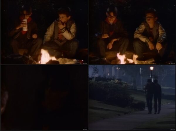 📺 Serie completa Los años maravillosos [Latino] – [4K ULTRA HD] - Temporada 02 - Imagen 4