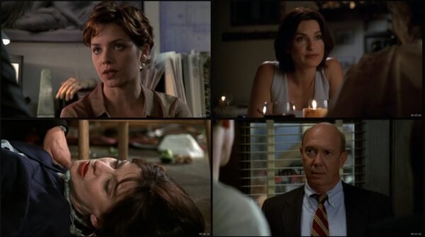 📺 Serie completa La ley y el orden: SVU [Latino] – [1080p] - Imagen 5