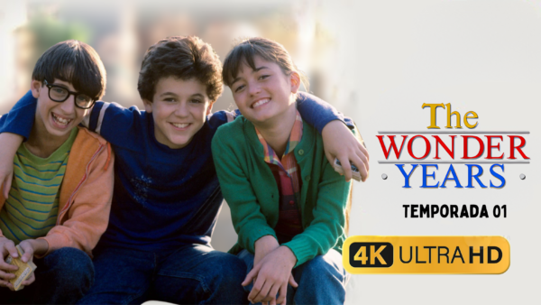 📺 Serie completa Los años maravillosos [Latino] – [4K ULTRA HD]