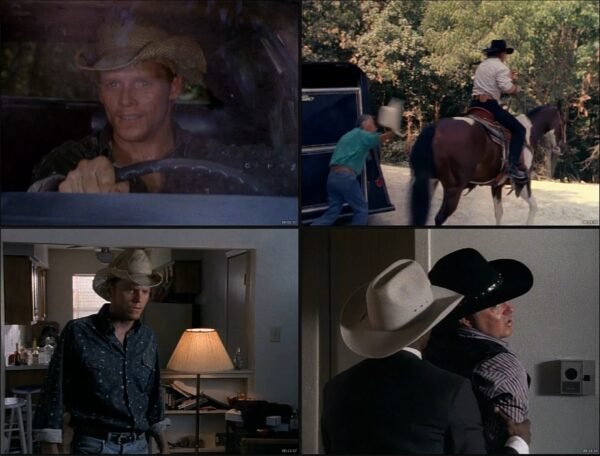 📺 Serie completa Walker Texas Ranger [Latino] – [1080p] - Imagen 2