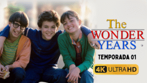 📺 DESCARGA Serie completa Los años maravillosos [Latino] – [4K ULTRA HD] - Temporada 01