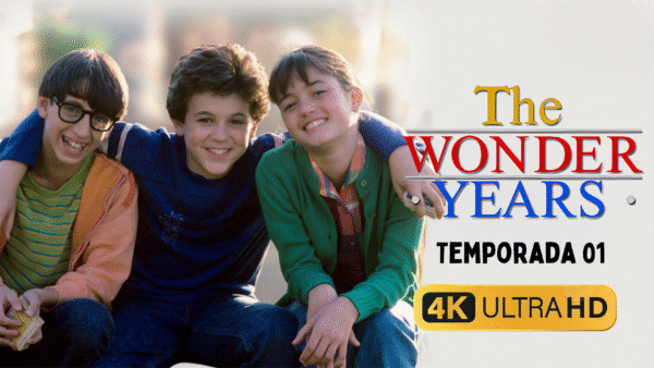 📺 DESCARGA Serie completa Los años maravillosos [Latino] – [4K ULTRA HD] - Temporada 01
