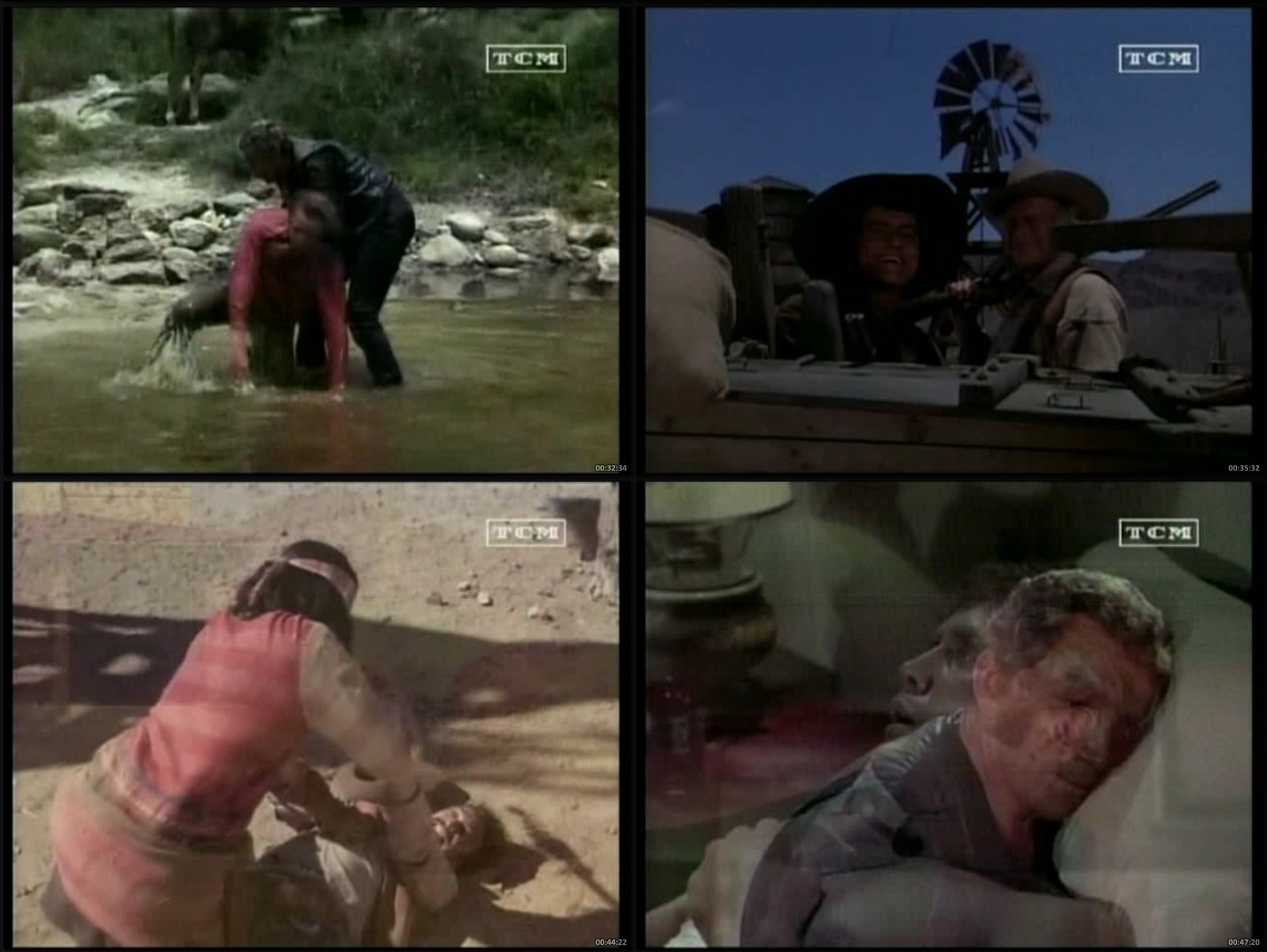 Chaparral (1967) – Serie completa del oeste clásico inolvidable | Latino 480p - Imagen 5