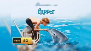 Flipper – Complete Series (Seasons 1-3, 89 Episodes) [English Version]