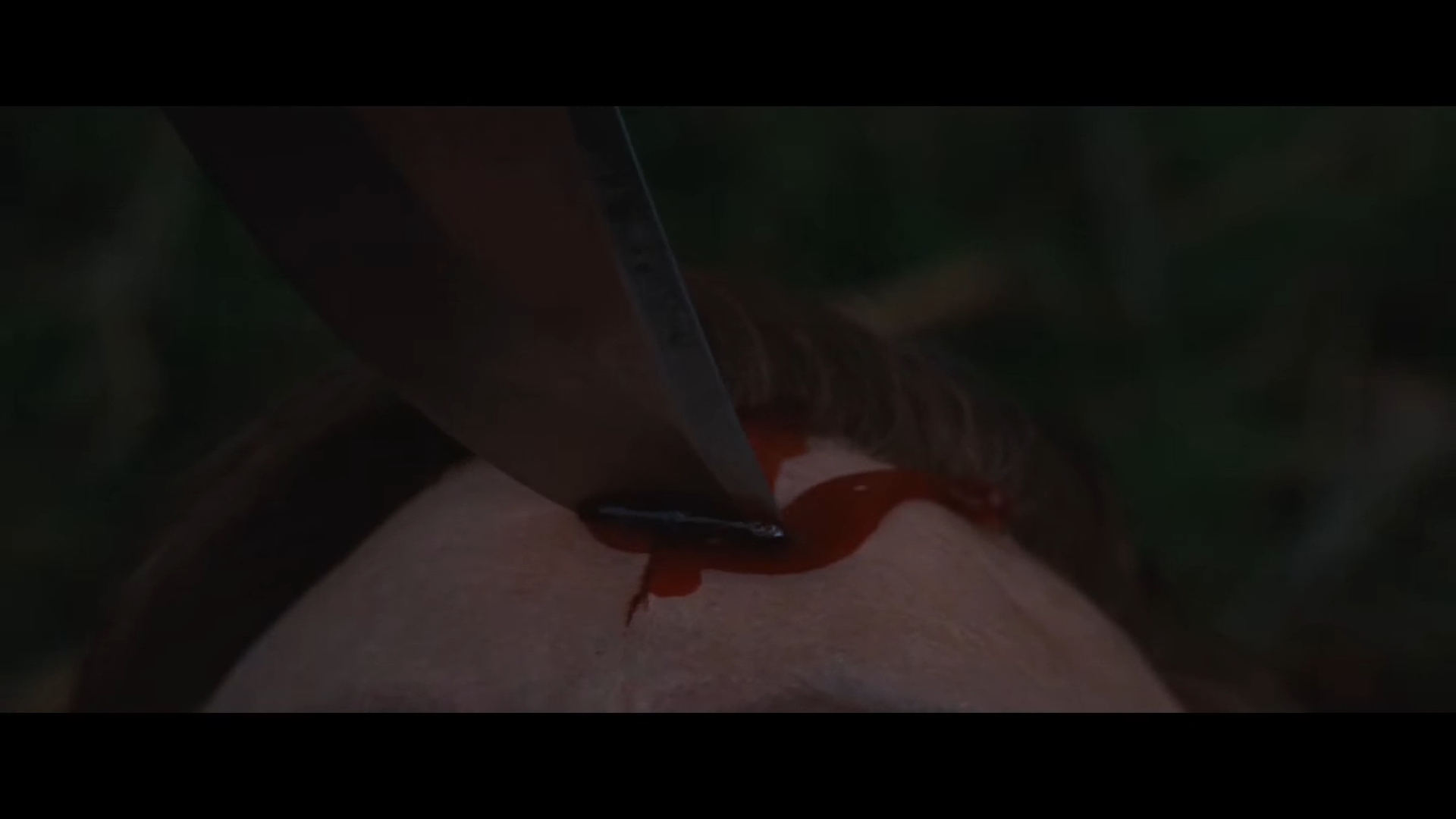 Malditos Bastardos (2009) 1080P Castellano MP4 - Imagen 9