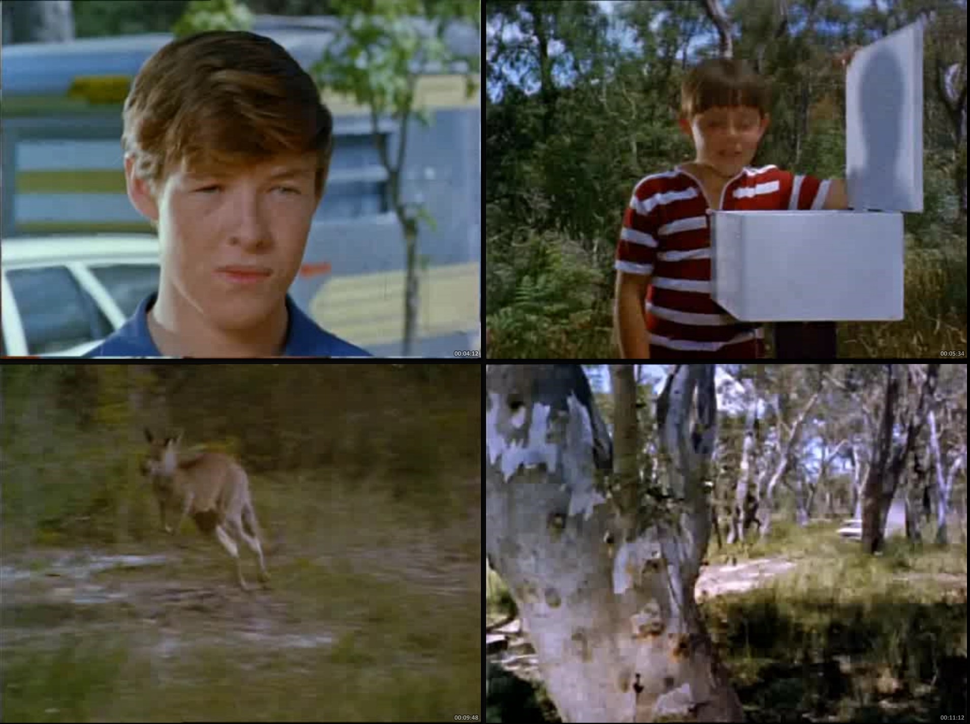 Skippy el Canguro (1968) – Serie Inolvidable Completa 3 Temporadas 91 Episodios | 480p Sub Español - Imagen 3