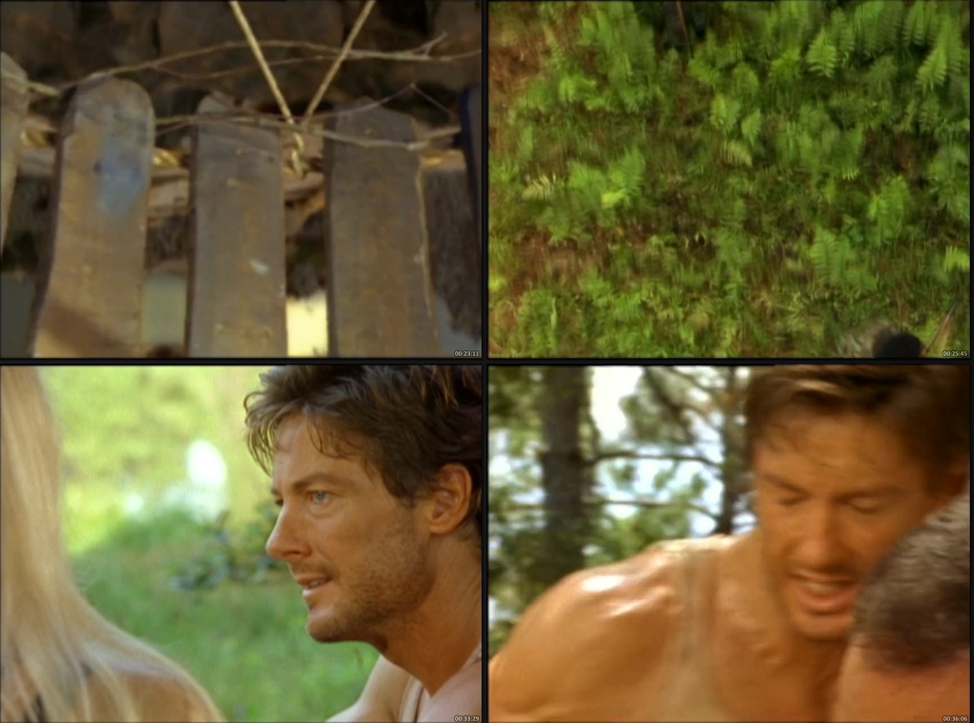 Sheena (2000) – Serie Inolvidable Completa 35 Episodios SD Mejorada Español Latino - Imagen 4