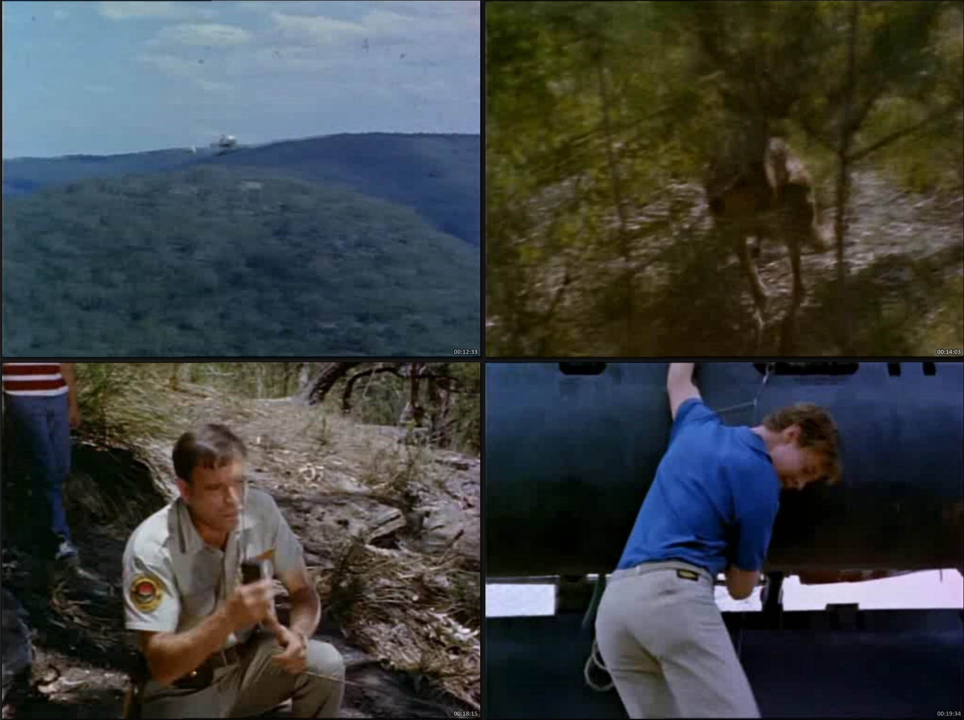 Skippy el Canguro (1968) – Serie Inolvidable Completa 3 Temporadas 91 Episodios | 480p Sub Español - Imagen 4